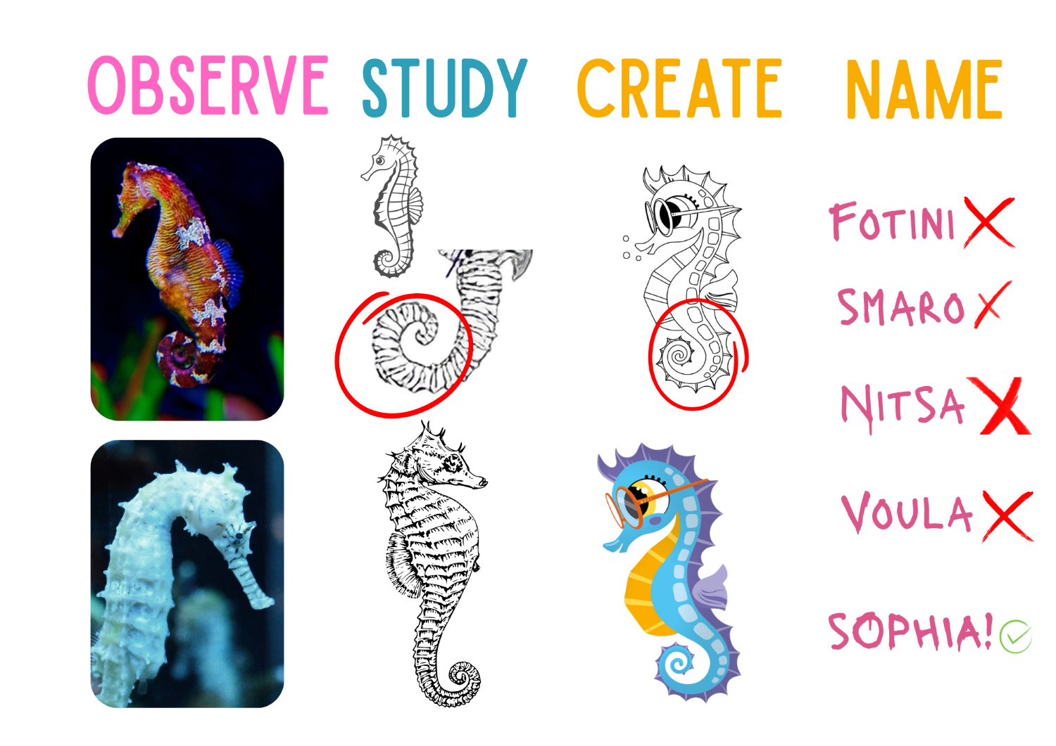 🖊️How We Built Our Bubble Buddies - 1💡